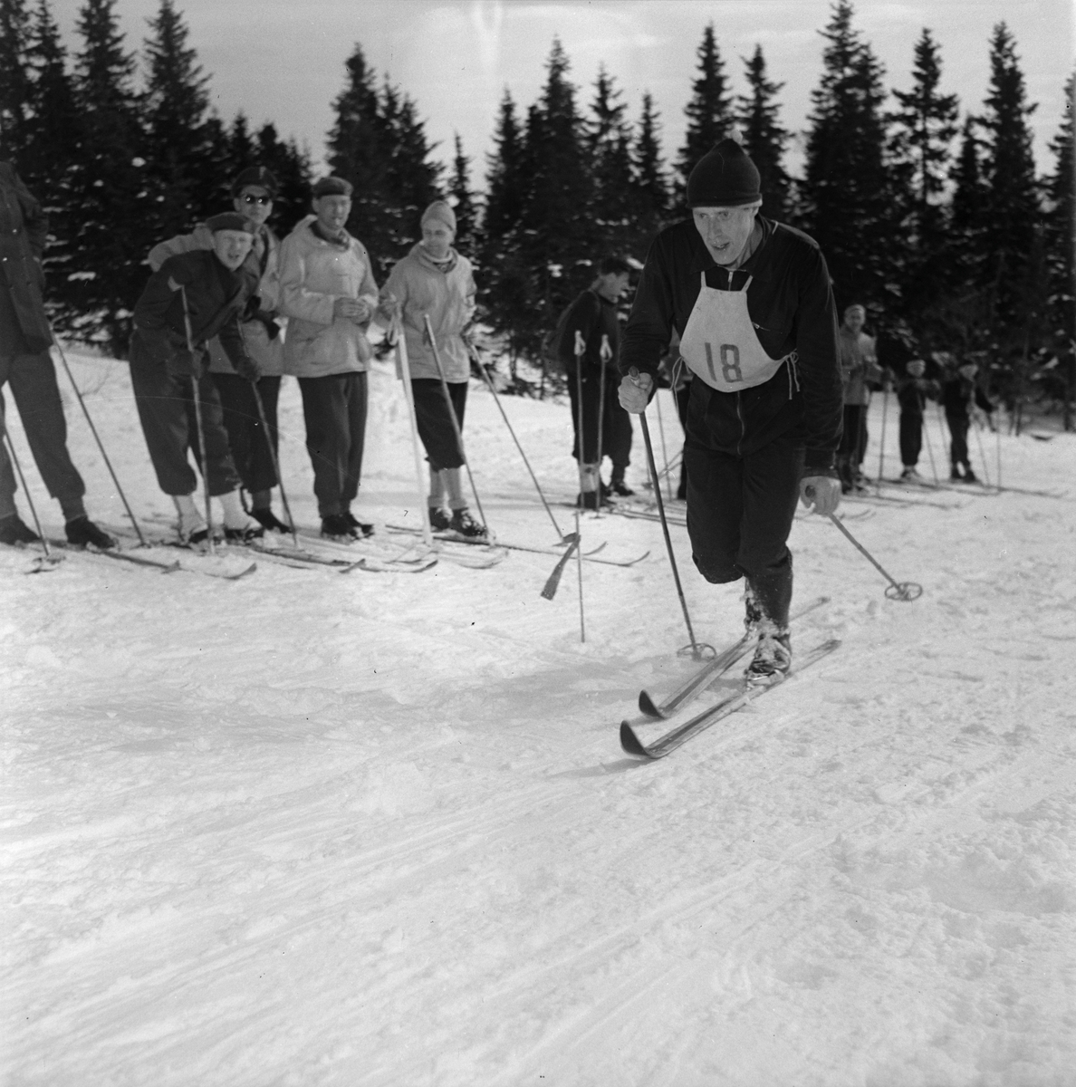 Gråkallrennets 30 km
