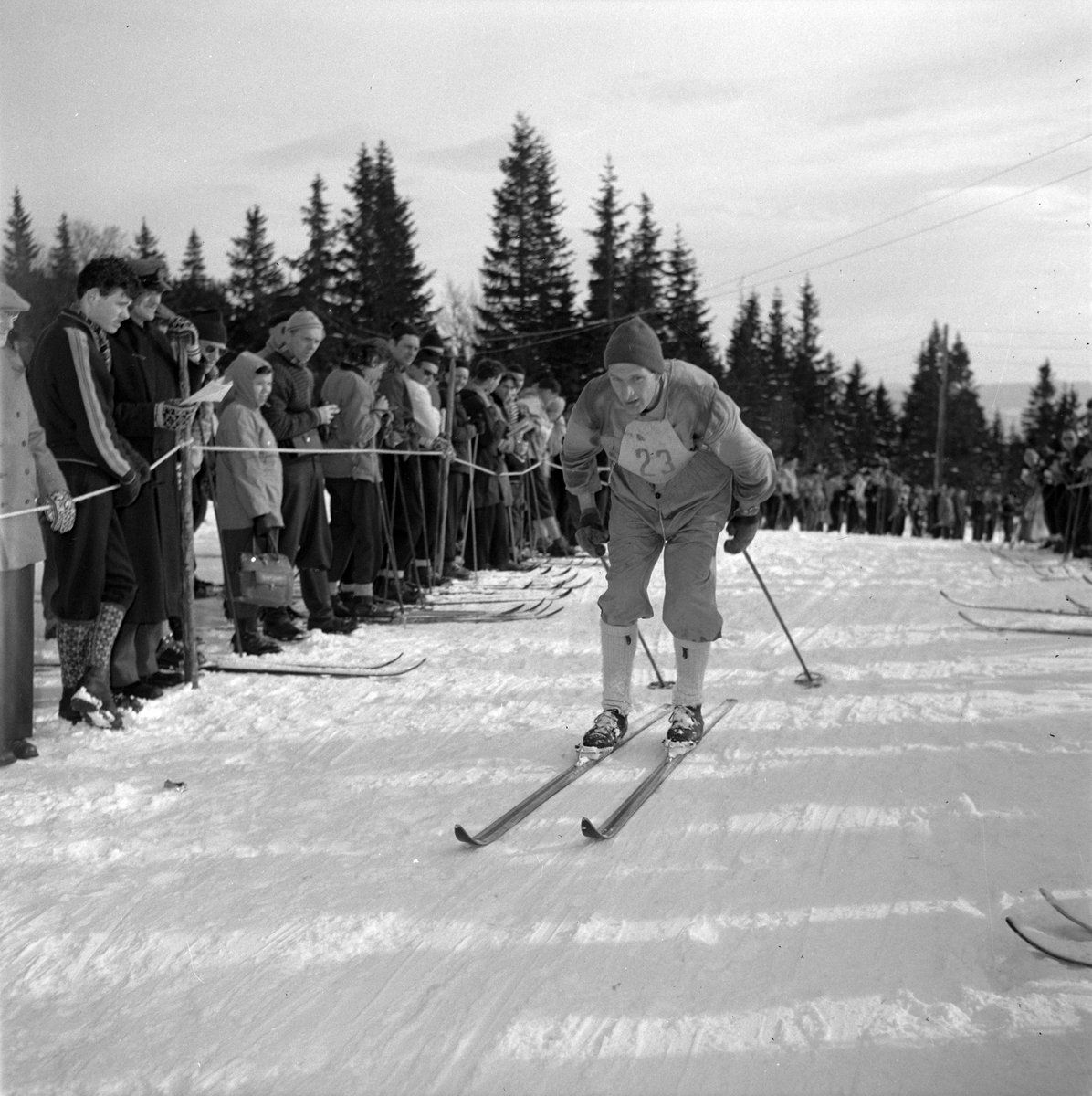 Gråkallrennets 30 km