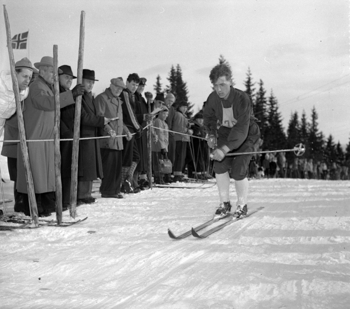 Gråkallrennets 30 km