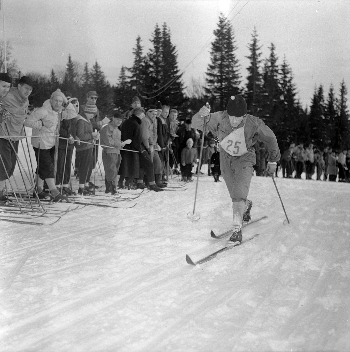 Gråkallrennets 30 km