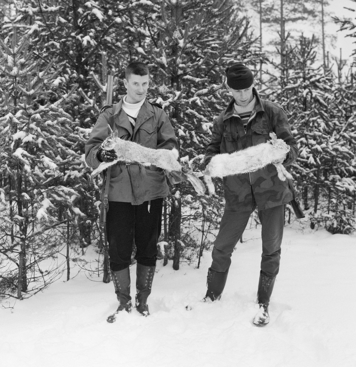 Jegere med harer de har skutt under harejakt. Elverum, Hedmark.