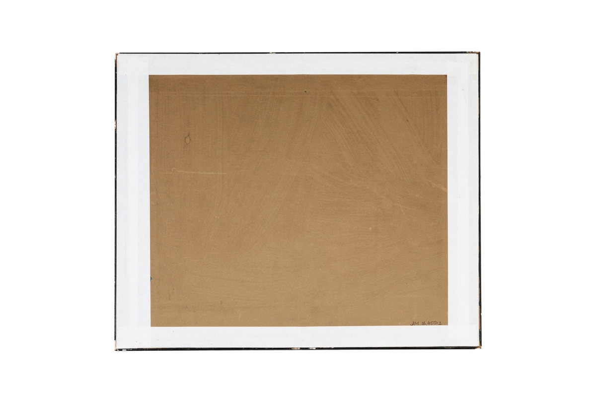 Fotografi (enligt accessionskatalogen färgfotografi) inom glas och ram. Ramen är svart med smala guldkanter. Mellan fotografi och glas är slingor av pressade växter placerade. Enligt accessionskatalogen utfört av Edward Björkman. Motivet är en salongsinteriör från Rustorps gård, Jönköpings län.

Samhör: JM.16450:2-5.