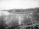 Motiv från Vessers udde på godset Bjärka Säbys ägor. Området fredades av dåvarande ägare 1923 och har sedan dess haft tillträdesförbud för studier av naturens förändringar. Halva reservatet utgörs av sjön Stora Rängen, på landsdelen finns strandskogar och igenväxande lövängar. Strandskogen kom till efter sjösänkningen 1855 i samband med byggandet av Kinda kanal, då sjön sänktes med 1,7 meter. Här en bild mot udden från söder, kort före anpassningen till fridlyst område.