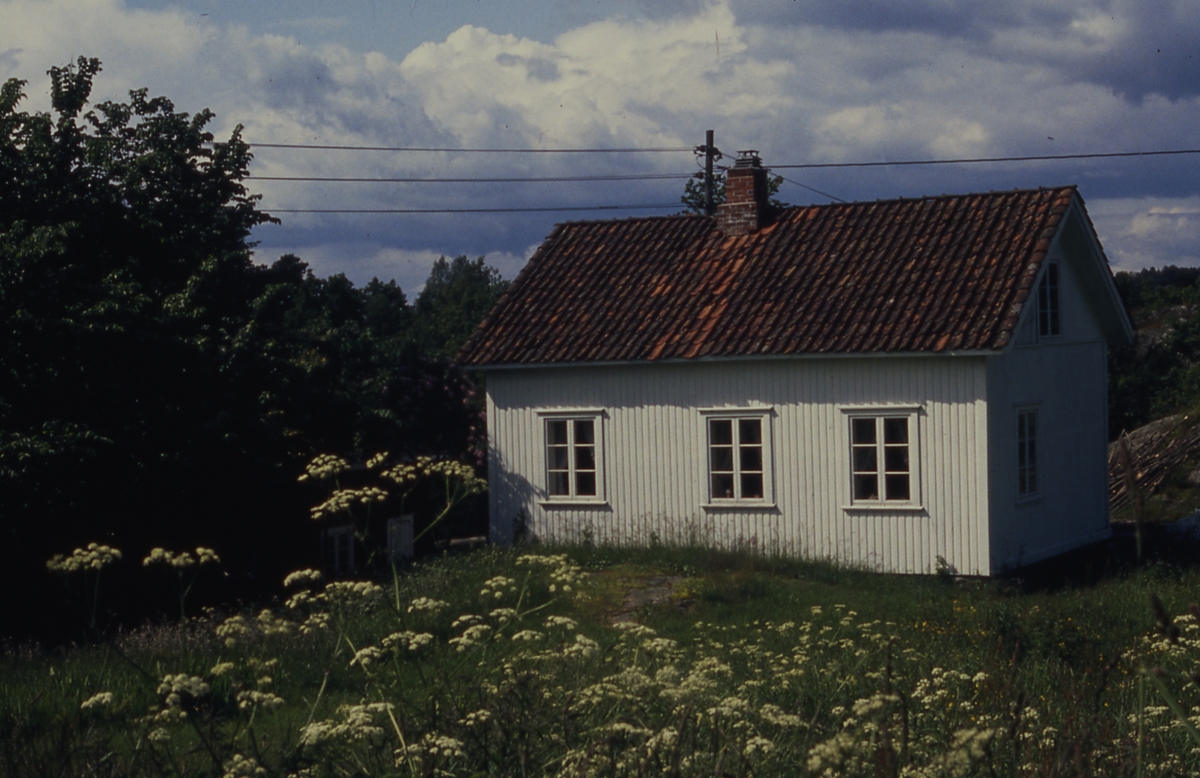 Skåtøy