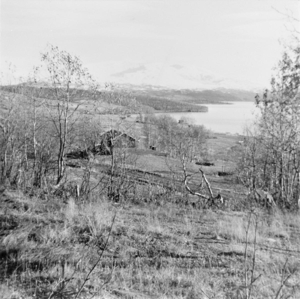 Rosengårdshaugen i Åkervika, Hattfjelldalen. Ungdomshuset midt på bildet.