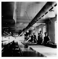 Interiörsbild från Silfas textiltryck. Vid de långa tryckbor