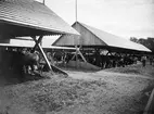 Den 16 juni 1898 öppnades det nationella lantbruksmötet som för året hölls i Linköping. På den så kallade Kreatursvallen hade staden genom mycket bestyr åstadkommit ett imponerande utställningsområde. Den inte helt väl bevarade bilden visar oss några av de kreaturstallar som för tillfället uppfördes i vallens östra del mot slottsträdgården.