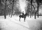 Handlare John Brobeck till häst en vinterdag 1898. Platsen är Gröngatan i Linköping. I bakgrunden skymtar Linköpings högre allmänna läroverk, sedermera stadens stadshus.