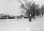 Parti av Stångån, tillika Kinda kanal, i Linköping. Året är 1898 och visar hur betydelsefull pråmtrafiken en gång var på kanalen. Till vänster ses det som vid tiden kvarstod av Tinnerbäckens ångsåg. Verksamheten var nedlagd och tomten försåld för fortsatt bostadsproduktion inom området Tinnerbäckslyckorna. Den öppna platsen mitt över ån, omedelbart söder om Ladugårdskällan, har periodvis använts för upplag, reparationer och även nybyggnation av båtar för främst Kinda kanal. I fonden skymtar ytterligare pråmar invid stadens båda kallbadhus.