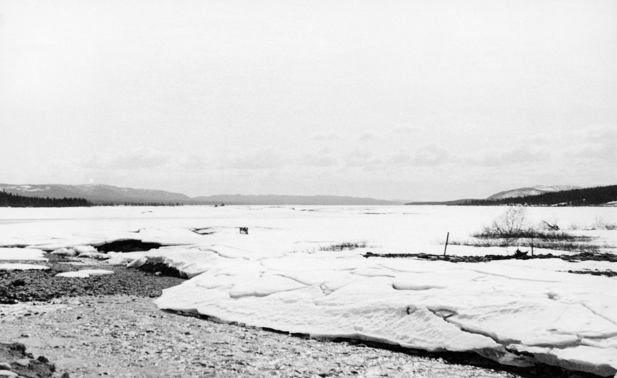 Samlelense under snø og is. Fra Slemoset, utløpet av elva Slemma i nordenden av Osensjøen i Åmot, Hedmark. Fotografiet ble tatt i 1941.

Dette bildet er antakelig tatt for å dokumentere tilstanden etter nedtappinga av den regulerte innsjøen. I 1941 ble 150 683 tømmerstokker innmeldt til fløting fra Osensjøens strender. Dette utgjorde om lag 30 prosent av leveransene i Osenvassdraget. Det øvrige virket kom fra tilløpselvene og fra avløpselva Søndre Osa med sidevassdraget Østre Æra. 111 568 stokker, cirka 22 prosent av tømmeret i vassdraget, skulle fløtes inn i Osensjøen fra Slemma. 1941 ble for øvrig en helt spesiell fløtingssesong i Osen. Glommens og Laagens brukseierforening tappet nemlig sjøen kraftig foregående vinter. Ettersom det var lite snø og en kjølig vår med lite nedbør, tok det lang tid å fylle sjøen igjen. Tappinga av fløtingsvirke gjennom Osdammen ble ikke startet før 4. august. Dette innebar etterfløting i Glomma sør for Rena, der østerdalstømmeret for lengst hadde passert, og ikke ubetydelige ekstrakostnader for Glomma fellesfløtingsforening. Utgiftene knyttet til utislagsarbeidet langs Osensjøens strender ble en forhandlingssak mellom skogeierne og Brukseierforeningen.