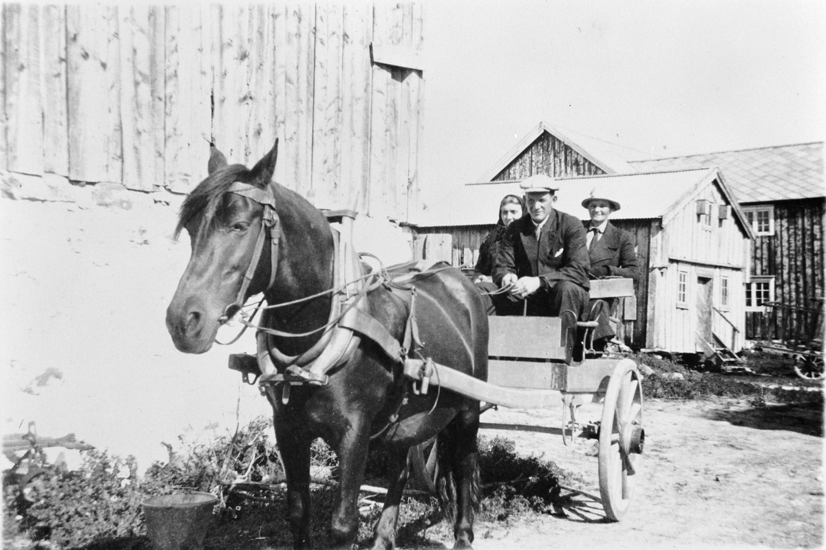 Kristian Flatnes med hest og vogn, Flatneset, Ørlandet