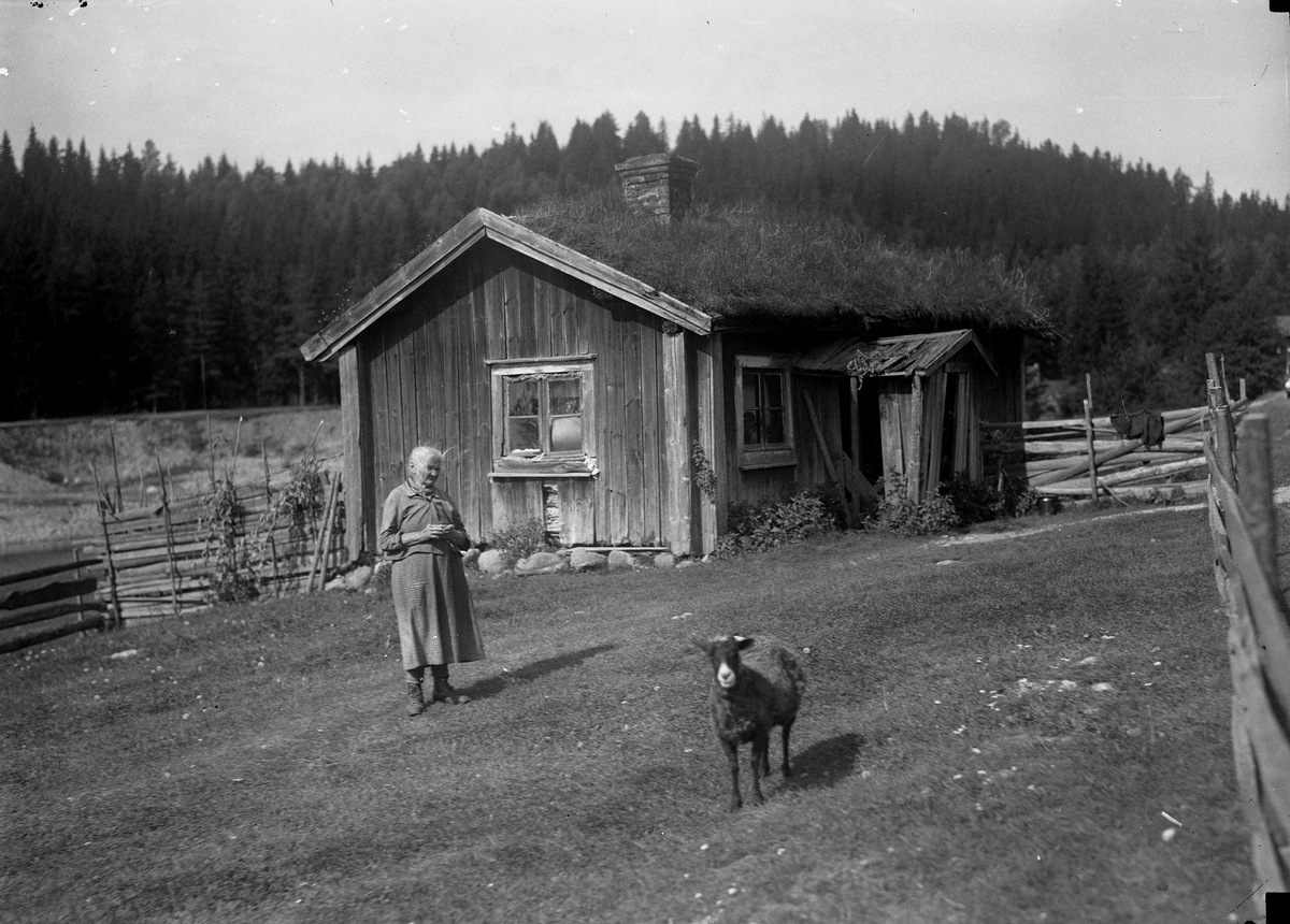 Envånings stuga med torvtak, den så kallade "Getastugan" vid Lekhytteklint, Hidinge. På bilden Get-Johanna.