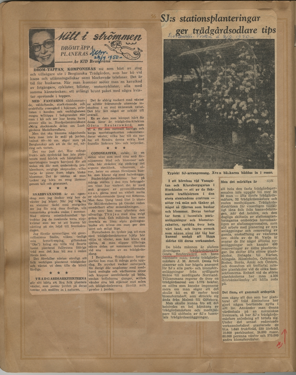 Tidningsklipp ur "Uppsatser om trädgårdar m.m. som på ett eller annat sätt beröra Gösta Reuterswärd. Samlade av Ernst Hj."

Expressen, 23-04-1950: Mitt i strömmen - drömtäppa planeras.

Sundsvallsposten, 08-09-1950: SJ:s stationsplanteringar ger trädgårdsodlare tips.