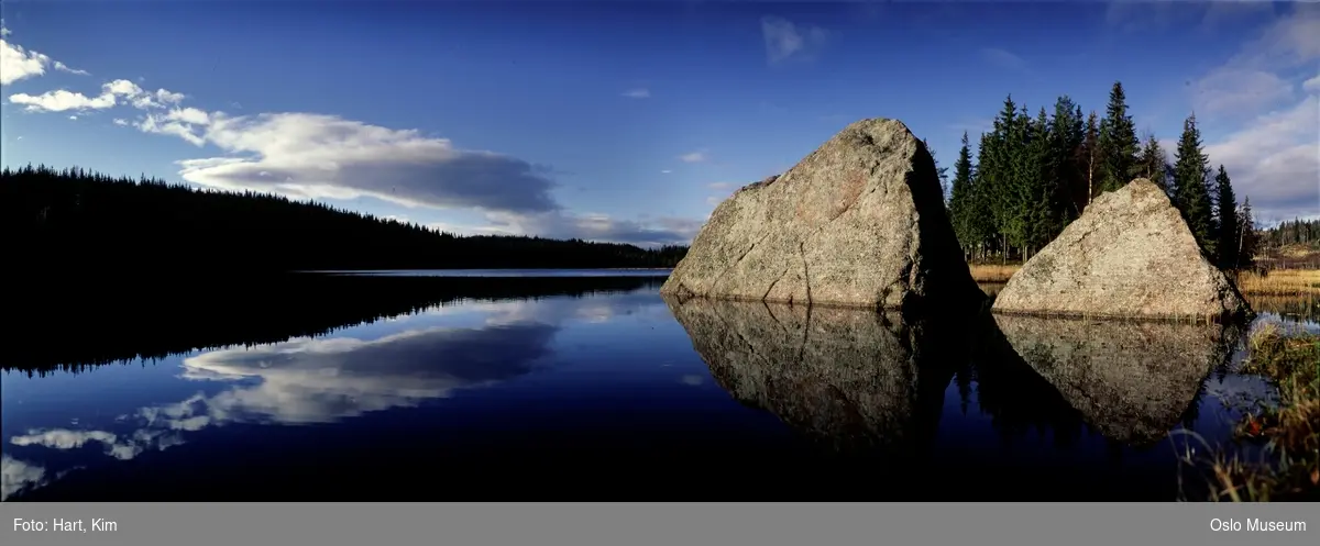 vann, steiner, skog, myr