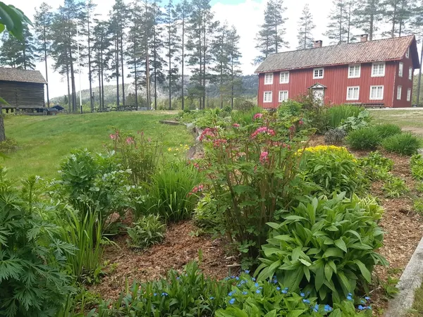 Drangedal Bygdetun