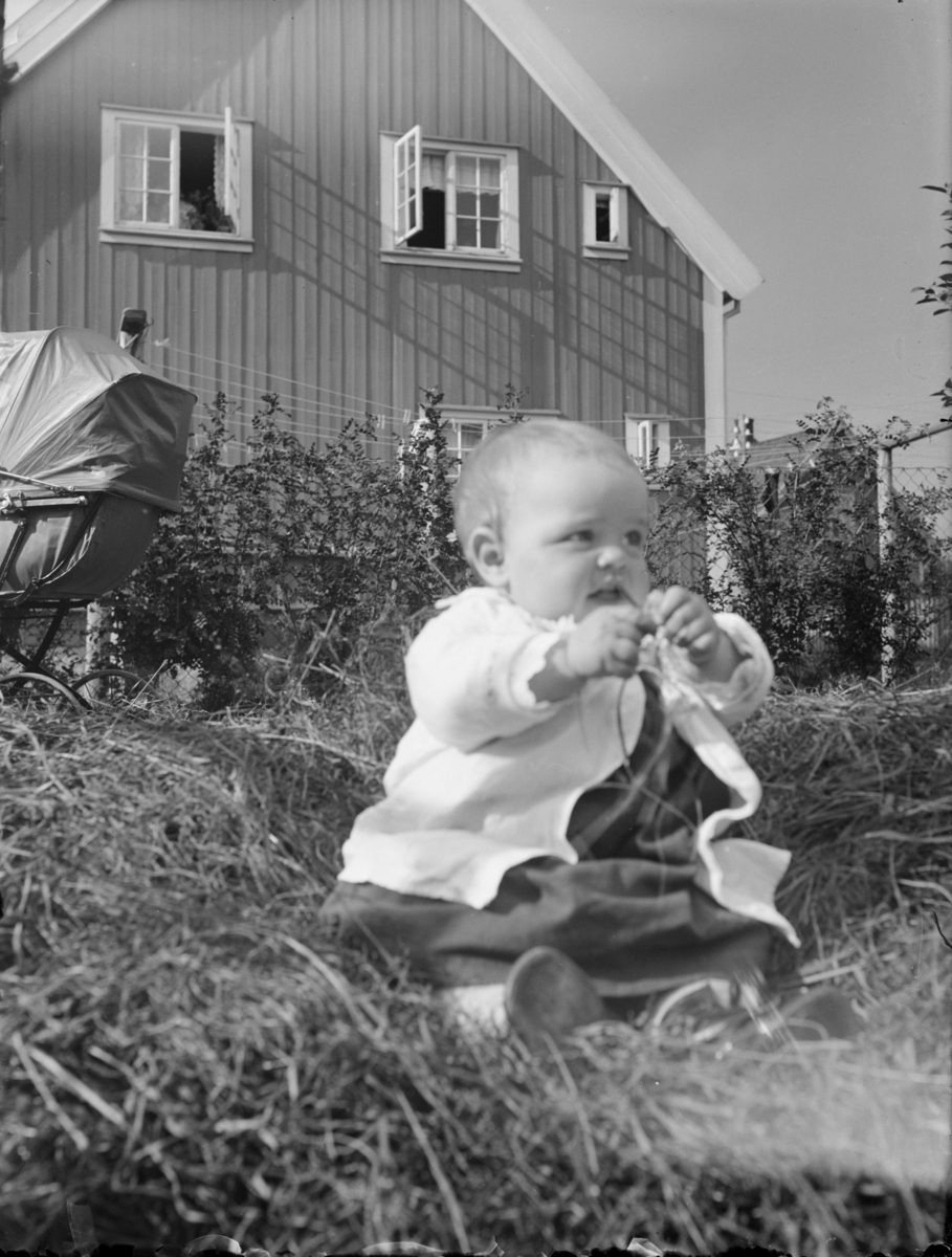 Ikke skannet. Gunnar i høysåta, høsten 1924.