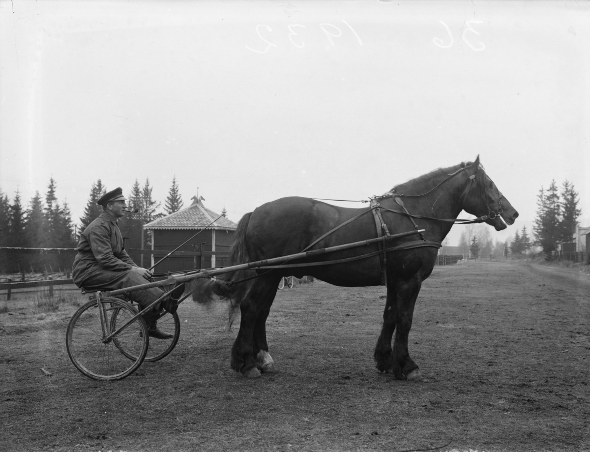 Mann og hest. Ikke skannet. To bilder.