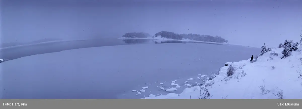 utsikt, fjord, øyer, snø, is, sti, kvinne, hund