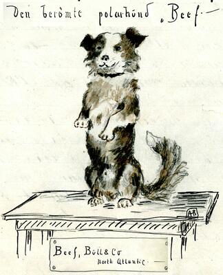 Bildet viser en tegnet illustrasjon av en hund som står med på baklabbene. Over den står det skrevet Den berømte polarhund «Beef». Under står det Beef, Bull & co North Atlantic.