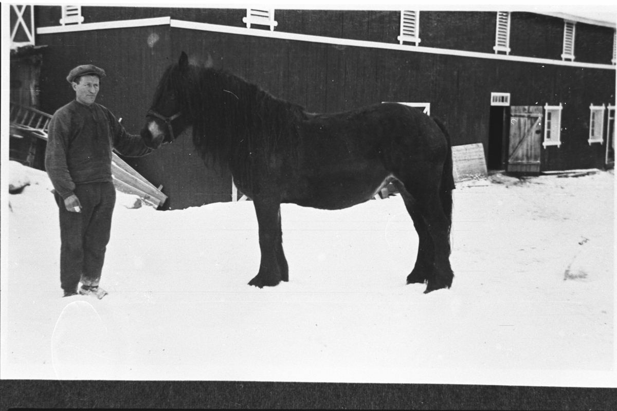 Portrett. Hans Hulebaklien med Store-Svarta.