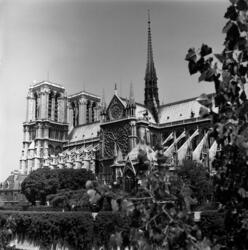 Paris Sacré Coeur & Notre-Dame