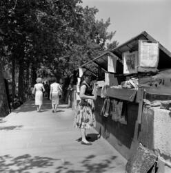 Paris Sacré Coeur & Notre-Dame