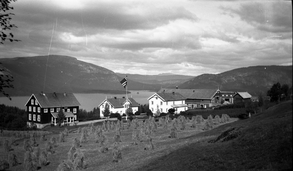 Fotosamling etter Kjetil Skomdal (1881-1971). Fotografen virket i perioden 1910 til 1960 og hadde eget mørkerom hvor han også tok imot film fra andre fotografer. I perioden var han også postbud i Fyresdal. Motiv fra Foldsjå landbruksskole.