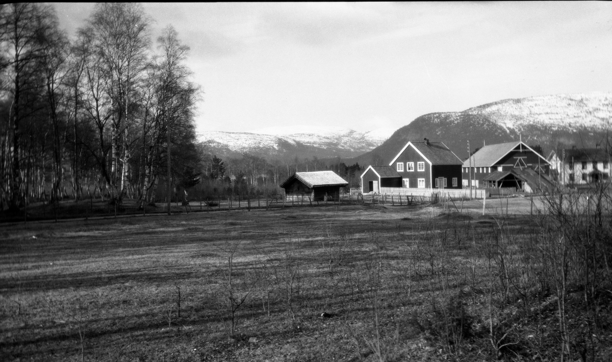 Fotosamling etter Kjetil Skomdal (1881-1971). Fotografen virket i perioden 1910 til 1960 og hadde eget mørkerom hvor han også tok imot film fra andre fotografer. I perioden var han også postbud i Fyresdal. Gårdsmotiv.