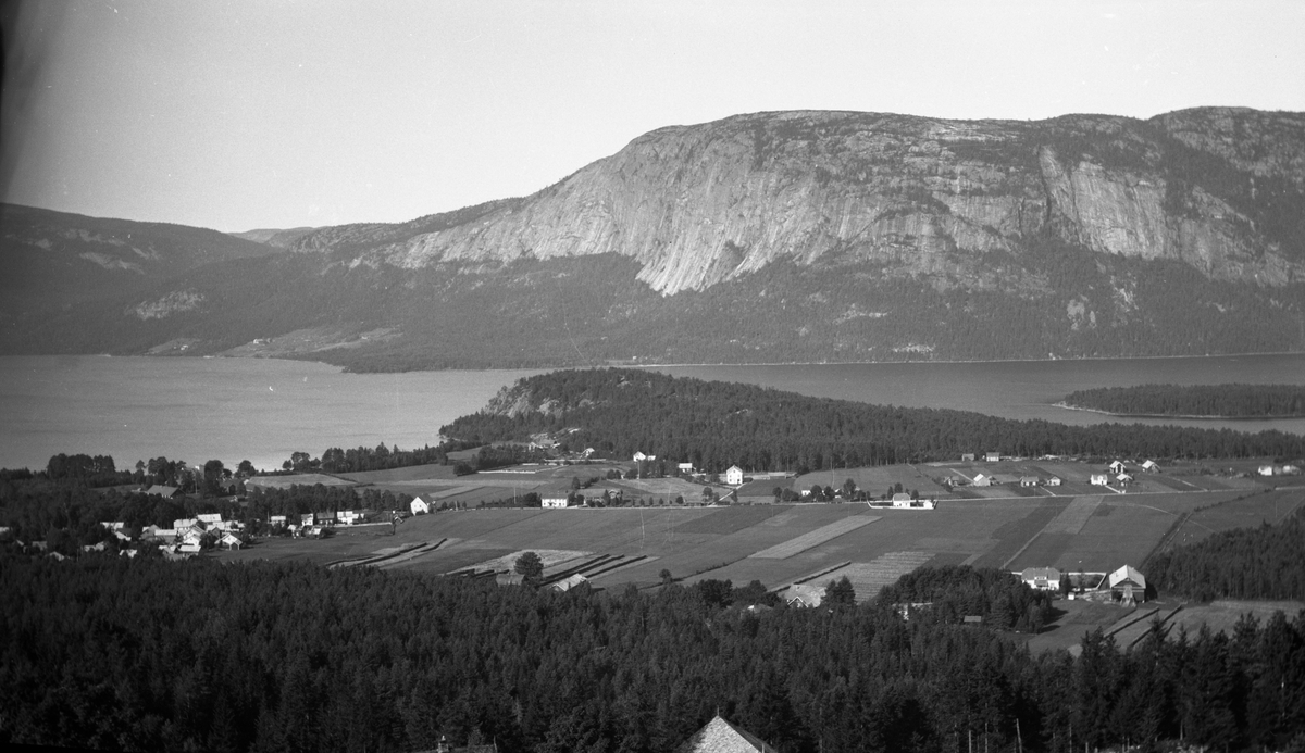 Fotosamling etter Kjetil Skomdal (1881-1971). Fotografen virket i perioden 1910 til 1960 og hadde eget mørkerom hvor han også tok imot film fra andre fotografer. I perioden var han også postbud i Fyresdal. Landskapsmotiv fra Fyresdal.