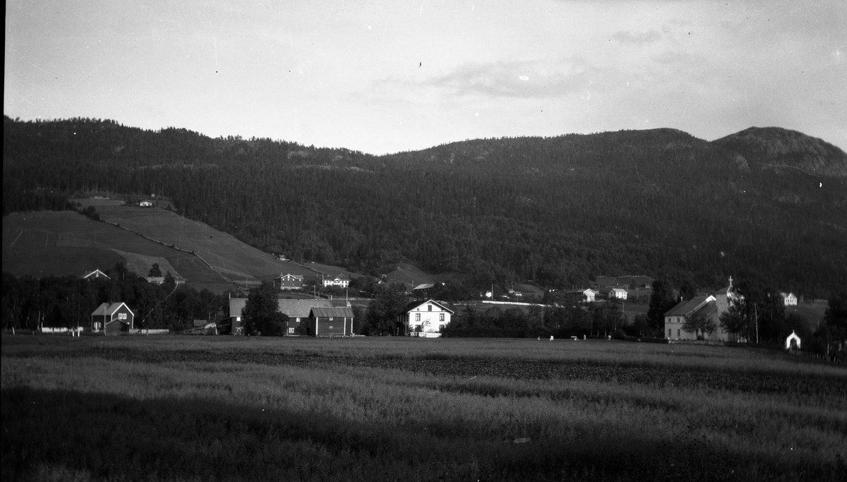 Fotosamling etter Kjetil Skomdal (1881-1971). Fotografen virket i perioden 1910 til 1960 og hadde eget mørkerom hvor han også tok imot film fra andre fotografer. I perioden var han også postbud i Fyresdal. Landskapsmotiv med Moland kirke og prestegården i Fyresdal.
