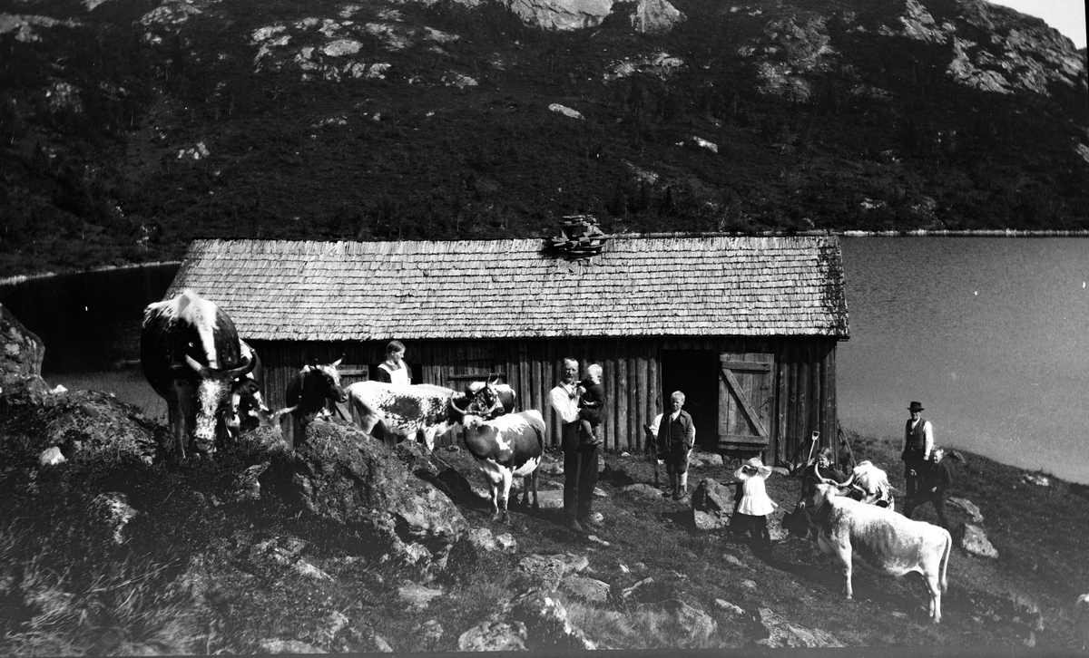 Fotosamling etter Kjetil Skomdal (1881-1971). Fotografen virket i perioden 1910 til 1960 og hadde eget mørkerom hvor han også tok imot film fra andre fotografer. I perioden var han også postbud i Fyresdal. Setermotiv med folk og telemarkskyr.