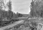 Parti av Uknavägen genom Hannäs socken. I fonden skymtar byggnader Hägerstad skattegård, mer bestämt gårdens torklada, smedja och själva mangården. Tiden är senare delen av 1890-talet.