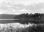 Skymning över Nystadviken i sjön Vindomen. På motsatta sida skymtar Hannäs gamla kyrka, som vid tiden för bilden nyligen var lagd i ruin. Redan år 1865 hade församlingen beslutat bygga ny kyrka men det kom att dröja 20 år innan den stod färdig. Sista gudstjänsten i den gamla kyrkan hölls på domsöndagen 1885.