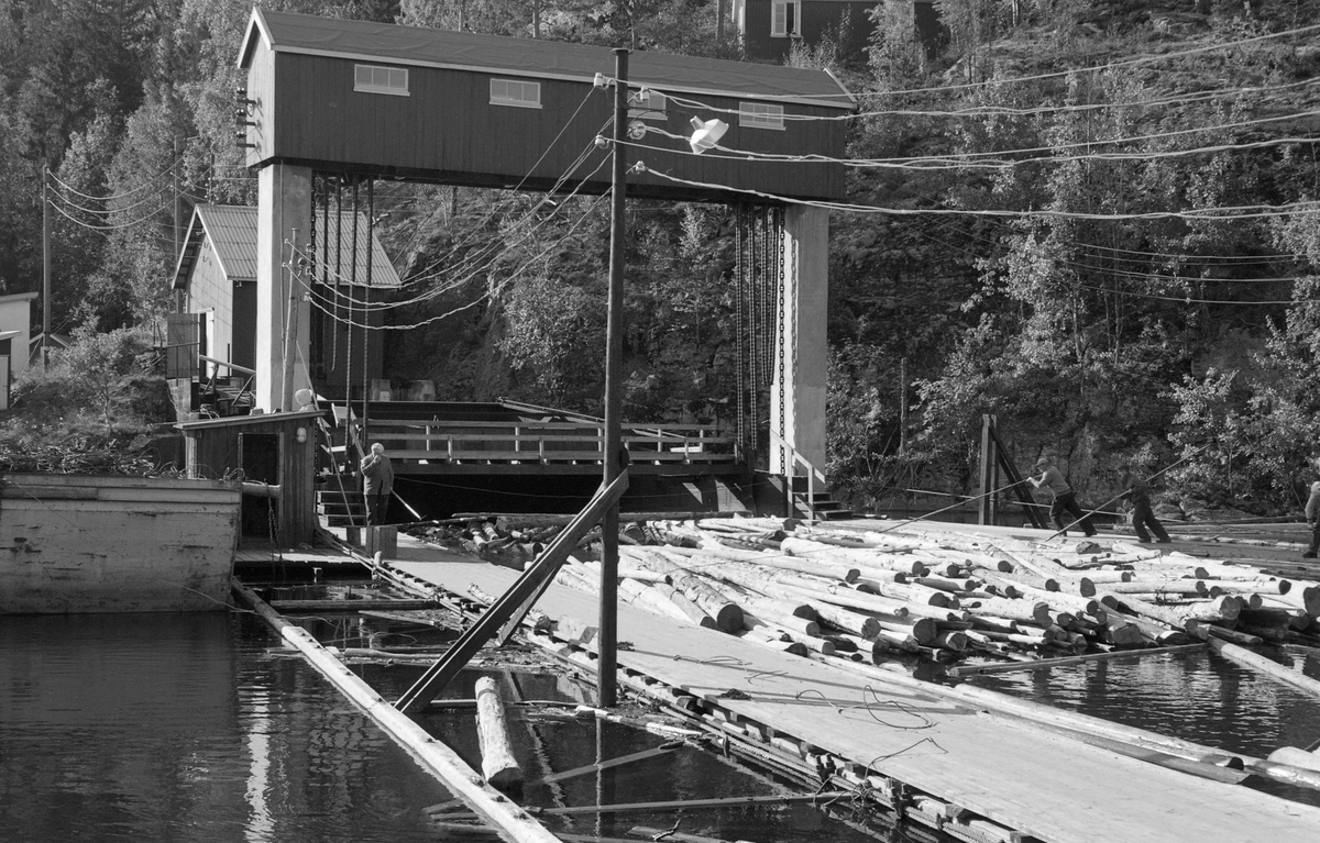 Fra innløpet til tømmerrenna forbi kraftverksdammen ved Kykkelsrud i Askim kommune i Østfold, fotografert i 1960. Bildet viser buntet tømmer som fløt langsomt mellom to stivlenser med flåteganger, mot den nevnte renna. På flåtegangene ser vi fløtere med langskaftete haker som de brukte til å skyve på tømmeret, slik at det skulle komme riktig inn i renna. Huset på de to kraftige betongsøylene ble antakelig brukt til å heve og senke «inntaksskuffen», en slags terskel som gjorde det mulig å justere vanntilførselen til tømmerrenna etter vannføringa i elveløpet. Det var viktig å ha nok vann til at tømmeret fløt godt nedover i renna, men med tanke på kraftproduksjonen var det viktig at det ikke gikk for mye vann denne vegen. Det skal ha gått an å fløte tømmer gjennom Kykkelsrudrenna med et vannforbruk på 10 kubikkmeter i sekundet, men når det var mye tømmer trengte tømmerfløterne opptil 25 kubikkmeter i sekundet. Med en slik vanngjennomstrømning kunne de ekspedere 10 - 12 000 tømmerstokker forbi kraftverket i timen.