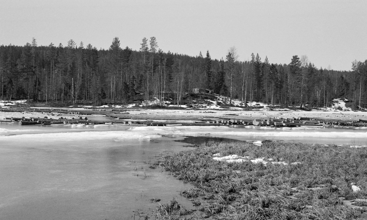 Tømmertillegging på Sævsjøen, i den delen av Kynnavassdraget som ligger i Åsnes kommune i Solør. Fotografiet skal være tatt i 1960. I løpet av vinteren hadde skogsarbeiderne åpenbart kjørt tommer til dette stedet og lagt det i lave floer på isen, i visshet om at vannet ville bære det videre når vårflommen kom. Kynnavassdraget er om lag 5 mil langt og har et nedslagsfelt på bortimot 350 kvadratkilometer. Organisatorisk sett var tømmerfløtinga i dette vassdraget delt i fire avdelinger. De øverste utislagene skjedde ved Kynndalsvegen i Elverum og den øverste avdelingen gikk derfra til Kynnsjøen. Den midtre avdelingen gikk fra Brattfossen, nedenfor Nordre Kynndam, inn i Våler kommune til Høgvelta. Tredje avdeling gikk derfra, inn i Åsnes kommyne og ned til den ytre Kynndammen. På de nevnte strekningene var det skogeierne som organiserte fløtinga. Fra Ytre Kynndam og ned til utløpet i Flisavassdraget var det såkalt «kjøpmanmnsfløting», noe som betydde at det var Glomma fellesfløtingsforening, tømmerkjøpernes organisasjon, som overtok ansvaret for tømmeret. I 1960, da dette fotografiet ble tatt, var det innmeldt 249 052 tømmerstokker til fløting i Kynnavassdraget. Cirka 30 prosent av dette kvantumet var innmeldt i den tredje avdelingen, Ytre Kynna, hvor dette fotografiet skal være tatt.

Tømmertillegging på is. Sevsjøen, Åsnes, Hedmark. Elv.