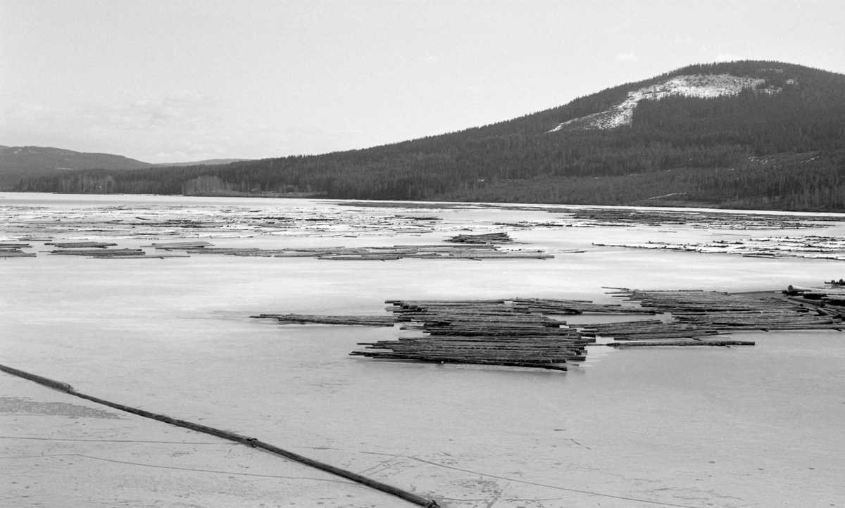 Tømmertillegging på Sævsjøen, i den delen av Kynnavassdraget som ligger i Åsnes kommune i Solør. Fotografiet skal være tatt i 1960. I løpet av vinteren hadde skogsarbeiderne åpenbart kjørt tommer til dette stedet og lagt det i lave floer på isen, i visshet om at vannet ville bære det videre når vårflommen kom. Til venstre i forgrunnen ser vi ei lense, en kjede av sammenlenkete tømmerstokker, som skulle fungere som flytende stengsel og hindre at fløtingstømmeret drev mot land. Kynnavassdraget er om lag 5 mil langt og har et nedslagsfelt på bortimot 350 kvadratkilometer. Organisatorisk sett var tømmerfløtinga i dette vassdraget delt i fire avdelinger. De øverste utislagene skjedde ved Kynndalsvegen i Elverum og den øverste avdelingen gikk derfra til Kynnsjøen. Den midtre avdelingen gikk fra Brattfossen, nedenfor Nordre Kynndam, inn i Våler kommune til Høgvelta. Tredje avdeling gikk derfra, inn i Åsnes kommyne og ned til den ytre Kynndammen. På de nevnte strekningene var det skogeierne som organiserte fløtinga. Fra Ytre Kynndam og ned til utløpet i Flisavassdraget var det såkalt «kjøpmanmnsfløting», noe som betydde at det var Glomma fellesfløtingsforening, tømmerkjøpernes organisasjon, som overtok ansvaret for tømmeret. I 1960, da dette fotografiet ble tatt, var det innmeldt 249 052 tømmerstokker til fløting i Kynnavassdraget. Cirka 30 prosent av dette kvantumet var innmeldt i den tredje avdelingen, Ytre Kynna, hvor dette fotografiet skal være tatt.