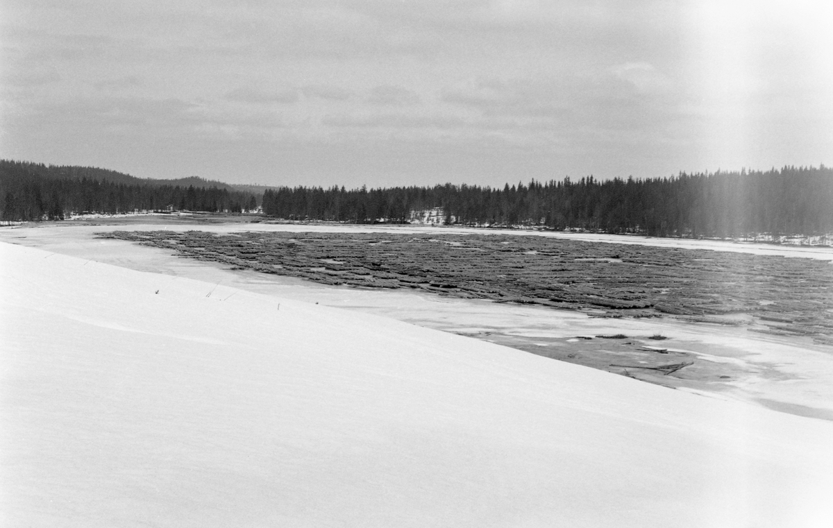 Tømmertillegging på Sævsjøen, i den delen av Kynnavassdraget som ligger i Åsnes kommune i Solør. Fotografiet skal være tatt i 1960. I løpet av vinteren hadde skogsarbeiderne åpenbart kjørt tommer til dette stedet og lagt det i lave floer på isen, i visshet om at vannet ville bære det videre når vårflommen kom. Kynnavassdraget er om lag 5 mil langt og har et nedslagsfelt på bortimot 350 kvadratkilometer. Organisatorisk sett var tømmerfløtinga i dette vassdraget delt i fire avdelinger. De øverste utislagene skjedde ved Kynndalsvegen i Elverum og den øverste avdelingen gikk derfra til Kynnsjøen. Den midtre avdelingen gikk fra Brattfossen, nedenfor Nordre Kynndam, inn i Våler kommune til Høgvelta. Tredje avdeling gikk derfra, inn i Åsnes kommyne og ned til den ytre Kynndammen. På de nevnte strekningene var det skogeierne som organiserte fløtinga. Fra Ytre Kynndam og ned til utløpet i Flisavassdraget var det såkalt «kjøpmanmnsfløting», noe som betydde at det var Glomma fellesfløtingsforening, tømmerkjøpernes organisasjon, som overtok ansvaret for tømmeret. I 1960, da dette fotografiet ble tatt, var det innmeldt 249 052 tømmerstokker til fløting i Kynnavassdraget. Cirka 30 prosent av dette kvantumet var innmeldt i den tredje avdelingen, Ytre Kynna, hvor dette fotografiet skal være tatt.