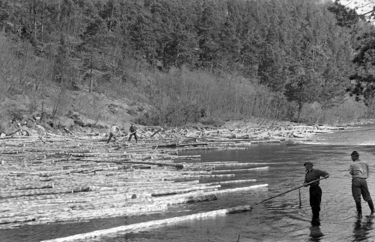 Fløtere river haug. Lågen, Tråsdahlsdammen, Dovre. Gudbrandsdalslågen i Gudbrandsdalen.