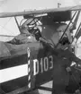 Flygplan Sablatnig Sab P I märkt nummer D103, omkring 1919-1920. Vy bakifrån. Flygförare i sitsen och en man står bredvid flygplanet.