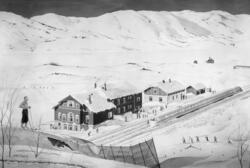 Strand Hotell Fevik pr. Arendal Finse hotell, Finse