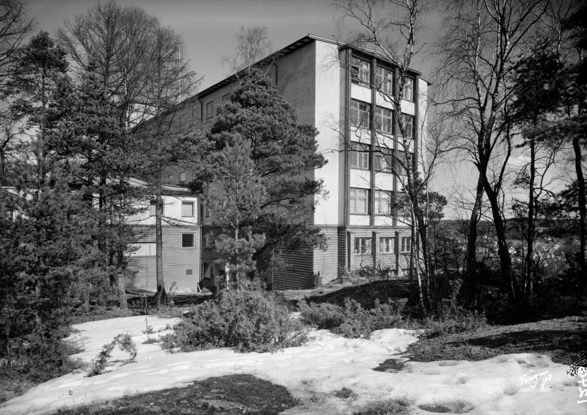 Halden sykehus(Byggekunst)