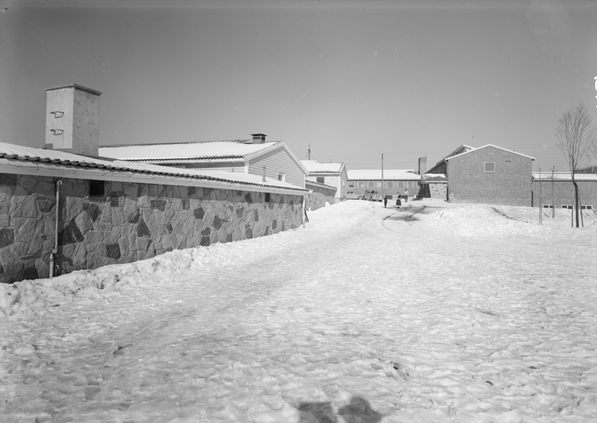 Arkitekturfotografi fra Nordtvedt skole.