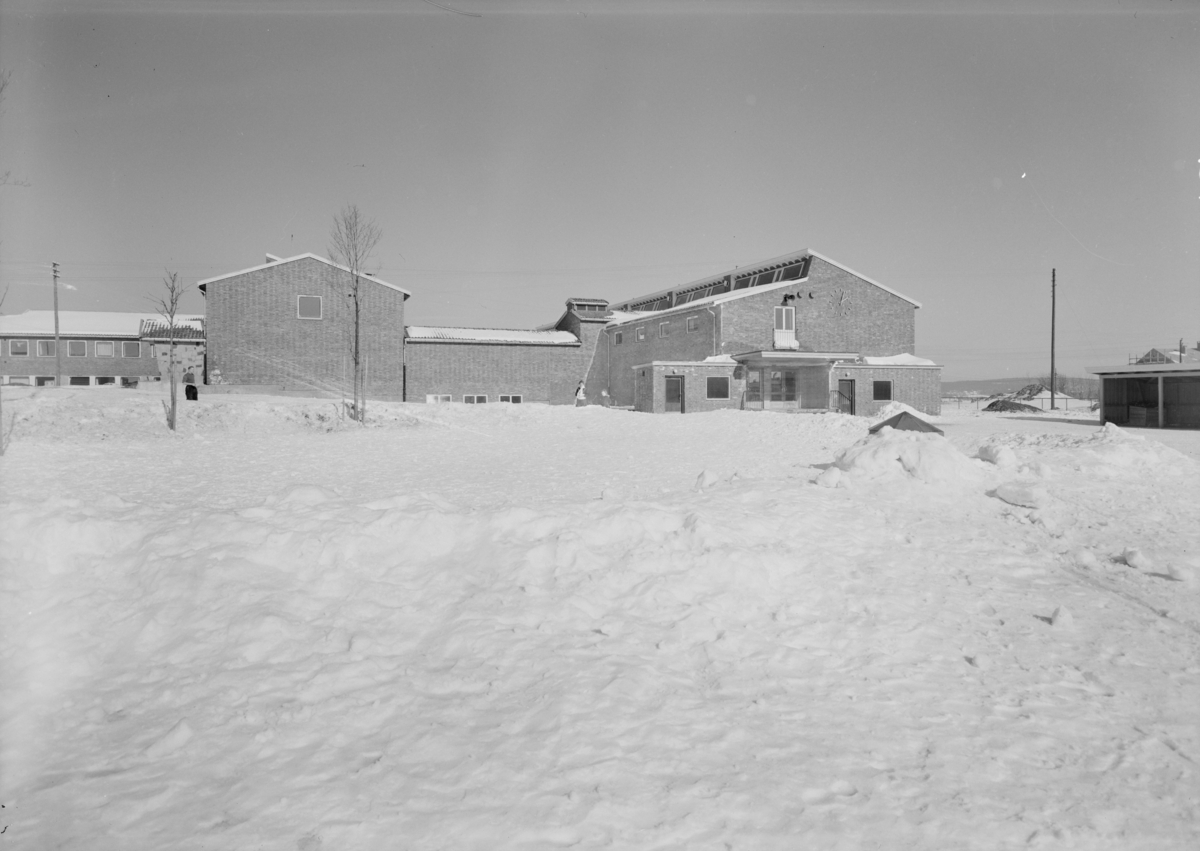 Arkitekturfotografi fra Nordtvedt skole.