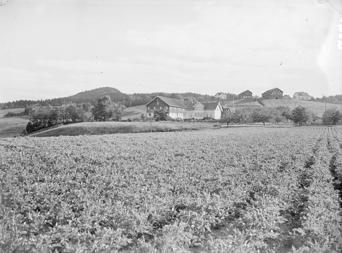 Fotografi av en låve og et våningshus bak en åker. Tekst fra Teigens katalog: "Svelviks Historie, Svelviks museum etc. se også: Drammens Tidende, se også: Hurum Bygdebok 4938"