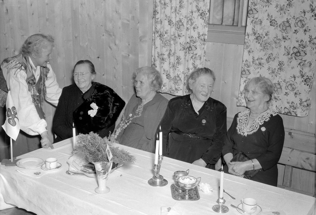Melhus Sanitetsforening fyller 50 år