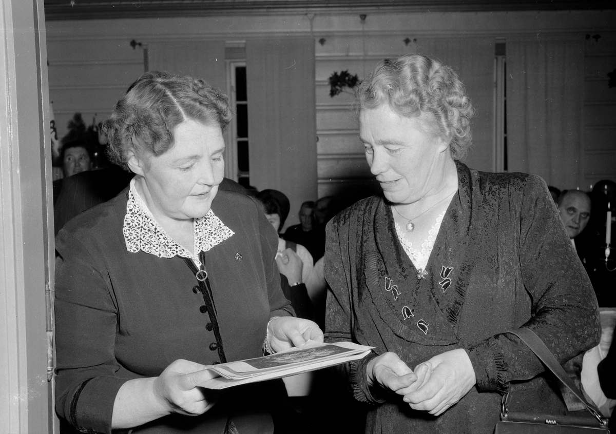 Melhus Sanitetsforening fyller 50 år
