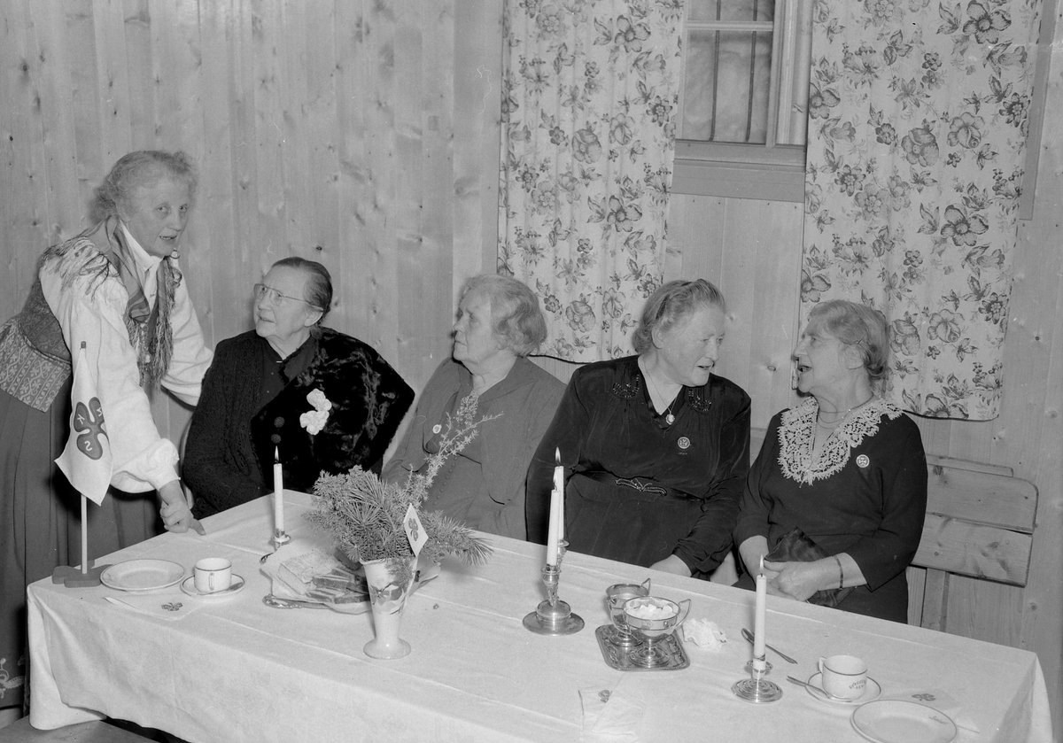 Melhus Sanitetsforening fyller 50 år