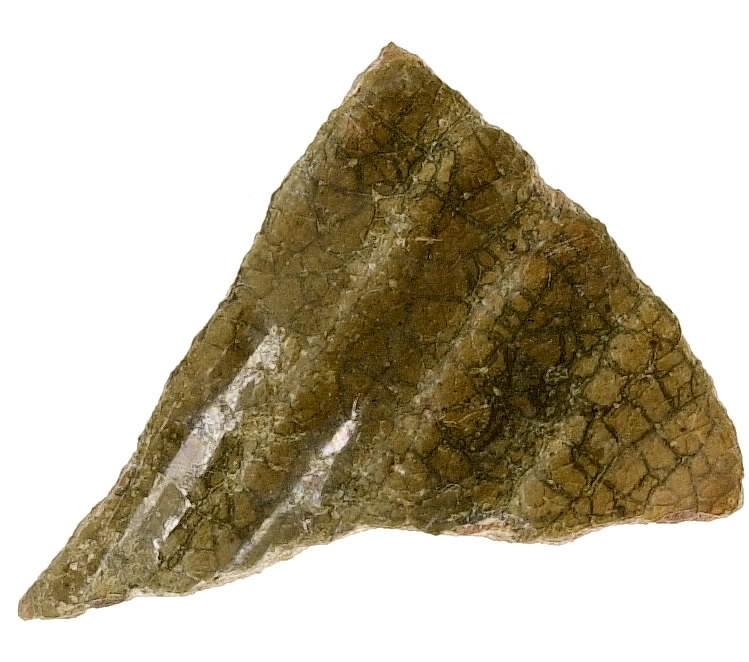 En keramikskärva. Räfflad. Brungrön glasyr på in- och utsidan.