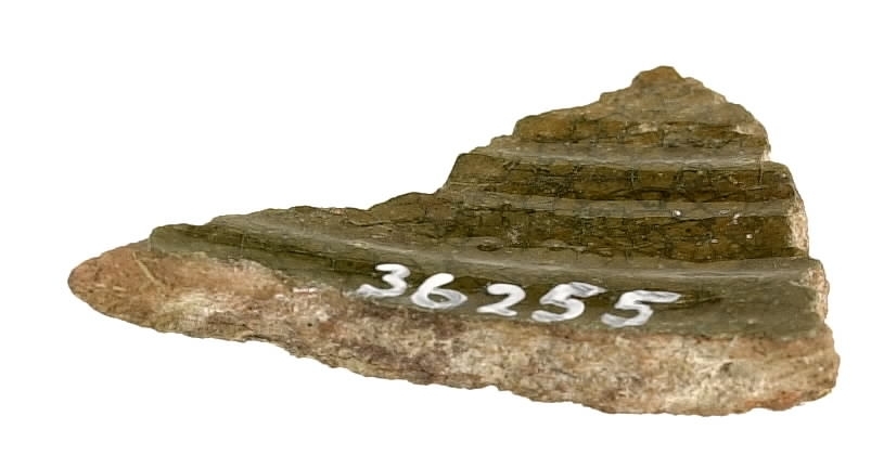 En keramikskärva. Räfflad. Brungrön glasyr på in- och utsidan.