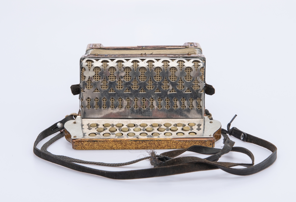 Gullspraglete overflate, med innsatte pyntejuveler. De fleste mangler. Blankt metallbeslag over knappene på høyre side foran. Lærreimer.